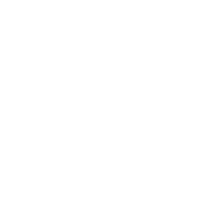Housi logo